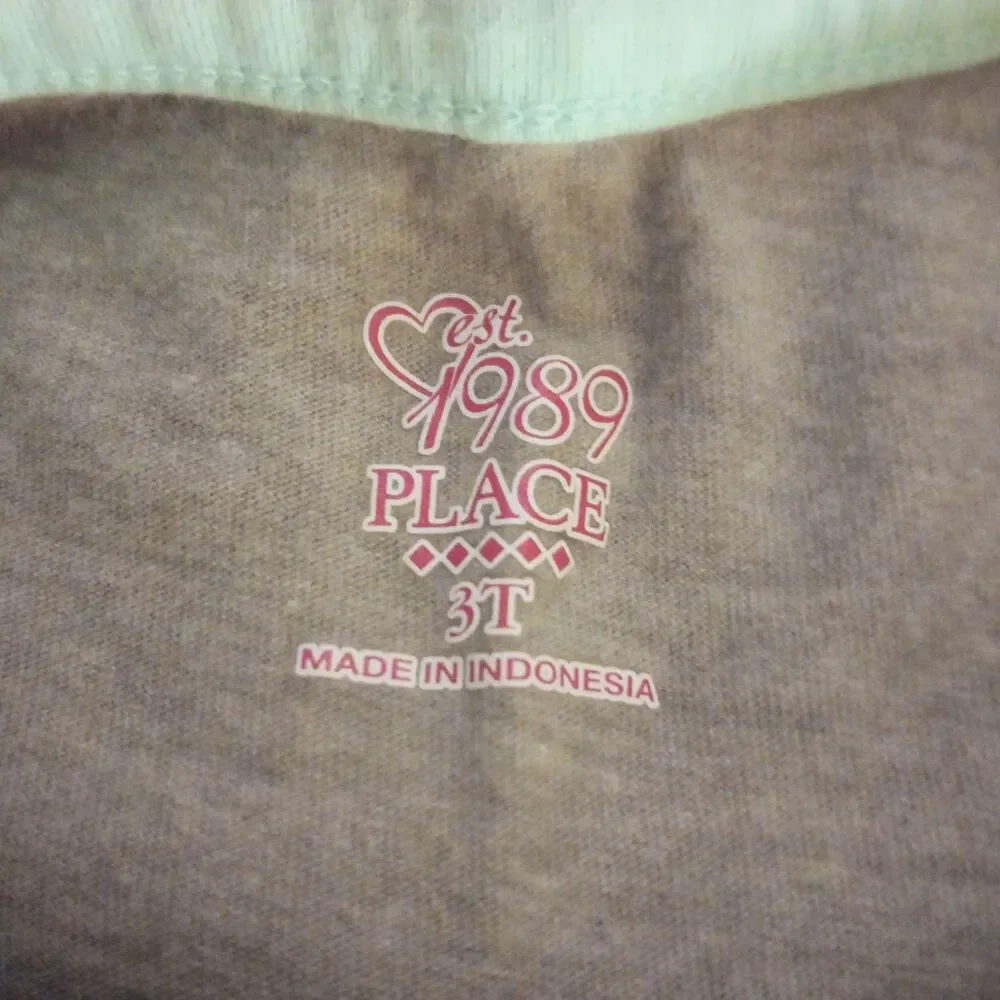 Children's Place Gray/Green Long Sleeve Tulle Dress sz 3T Girls - Picture 4 of 4